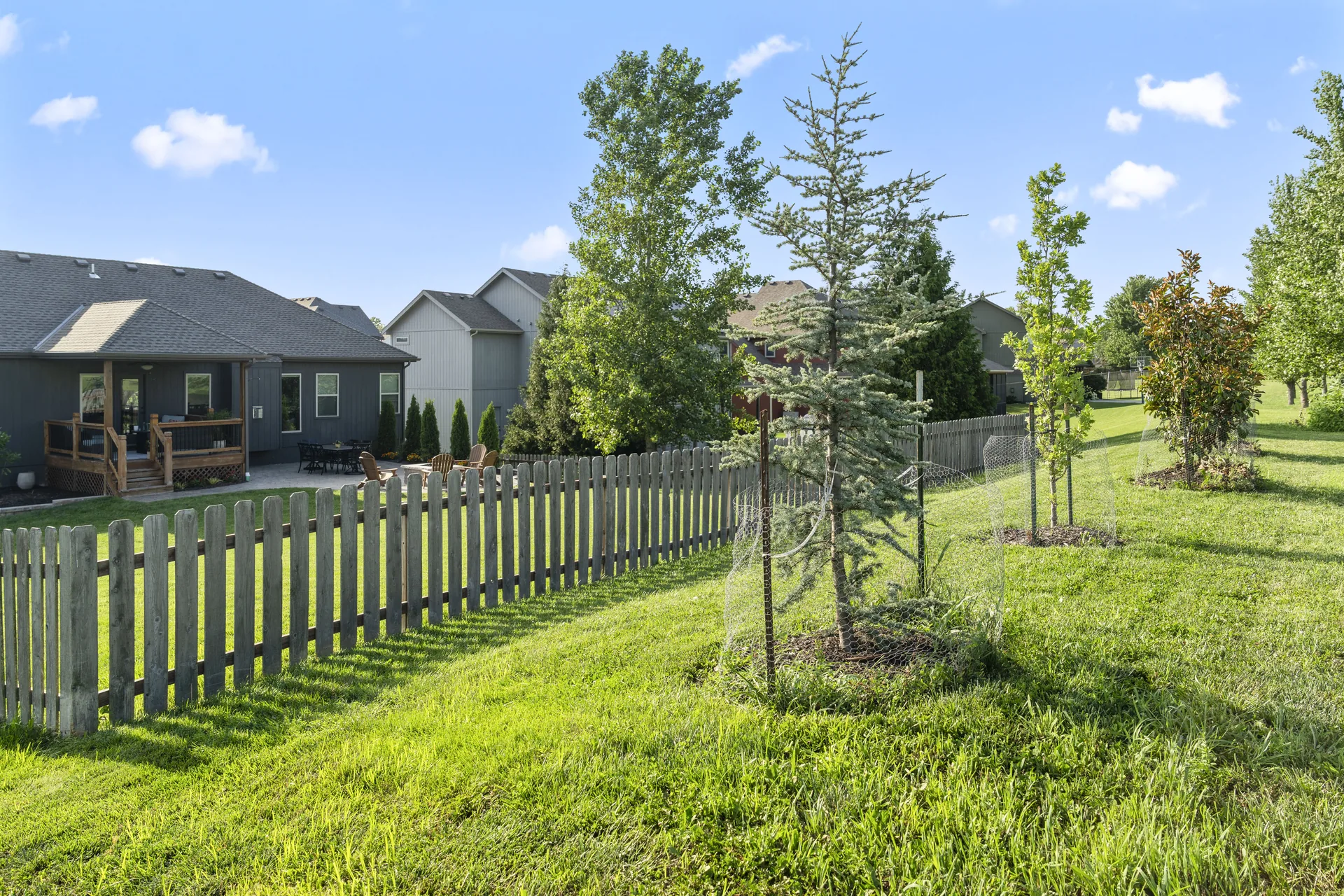 Fenced lawn and rows of new trees