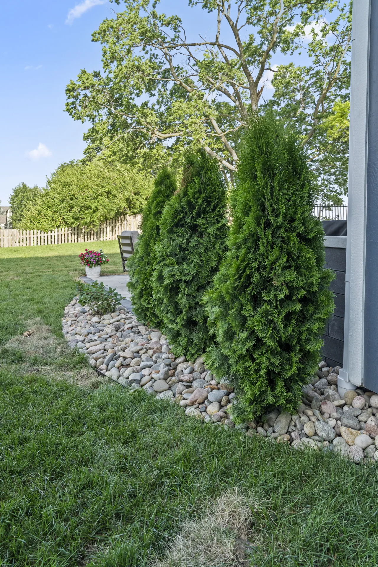 Shrubs in a decorative stone bed by the wall