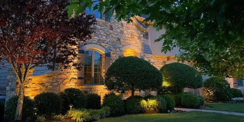 Flower Bed Lighting