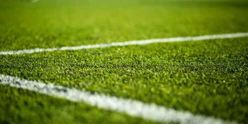 Playground Turf
