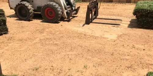 Sod Installation Company