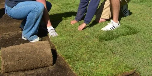 Sod Installer